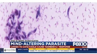 FOX10 News Investigates: Mind-Altering Parasite