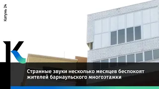 Странные звуки несколько месяцев беспокоят жителей барнаульского многоэтажки