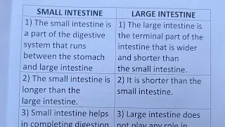 Difference Between Small Intestine And Large Intestine?-Class Series