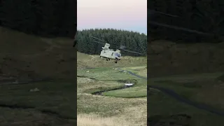 Royal Netherlands Air Force CH-47F Chinooks 🇳🇱 - 📸:. jamesxhicks acc on IG -#rnlaf #chinook #CH47