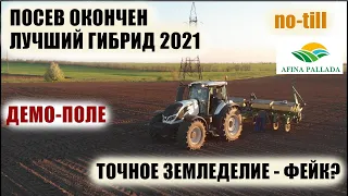 Посеял подсолнечник. Культивирую всходы. Демо-поле гибридов подсолнечника 2021. Анализ почвы