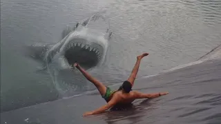 10 SCARY Shark Attacks You Won’t Believe