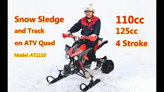 110cc, 125cc ATV Quad Bike with Snow Sledge and Track