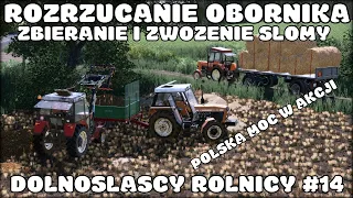 ROZRZUCANIE OBORNIKA!! ♦ ZBIERANIE I ZWOŻENIE SŁOMY ♦ DOLNOŚLĄSCY ROLNICY #14 ♦ FS 19