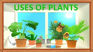 Uses of plants | Plants and their uses | Plant give us |  Plants around us | Benefits of plants