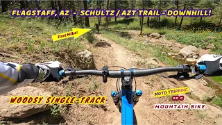 MTB in Flagstaff, AZ:  Schultz - AZT Trail Downhill