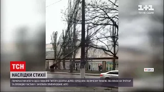 В Одесі через поривчастий вітер впали півтора десятка дерев