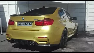 2014 BMW M3 (F80) | Startup, Exhaust Note & Revs | Strictly Noise ®