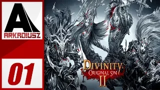 Divinity: Original Sin II #01 - W drodze do Radości.