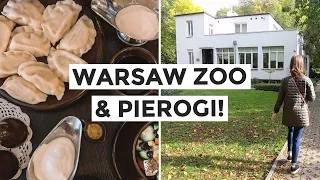 WARSAW ZOO VILLA TOUR | Poland Travel Vlog