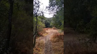 Hiking Morgan Trail Cleveland national Forest