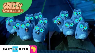 Crowd Control  | Grizzy & The Lemmings | Funny Compilation for Kids | Cartoonito Africa