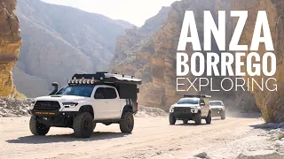 Anza Borrego | Make This Your First Overland Destination