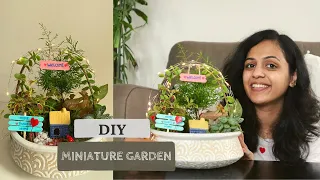 Creating Easy & Beautiful Miniature Garden | DIY Miniature Garden