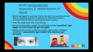 Acute cardiovascular responses to exercise