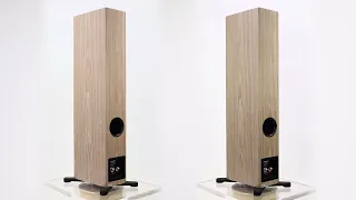 Dynaudio Evoke 30 - Blonde Wood