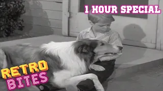 Lassie | 1 Hour Compilation | Full Episodes  🐕