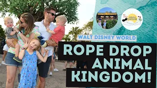 Rope Drop Animal Kingdom | Walt Disney World | April 2022