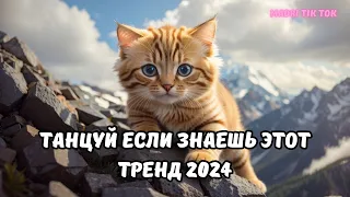 💗ТАНЦУЙ ЕСЛИ ЗНАЕШЬ ЭТОТ ТРЕНД 2024💗