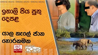 ඉතාලි පිය පුතු දෙපළ... යාල කැලේ ජාන හොරකමක