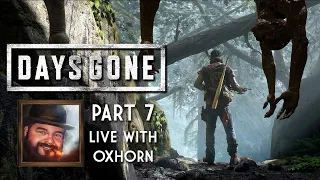 Days Gone Part 7 - Live with Oxhorn