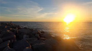 Action at the Jetty! - St Andrews State Park