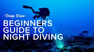 Beginners Guide To Night Diving | Deep Dive