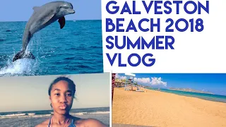 Galveston beach 2018 summer vlog💕👙💦🐬
