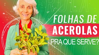 Acerola: imunidade, pele e emagrecimento