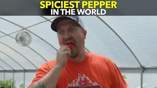 Spiciest Pepper In The World