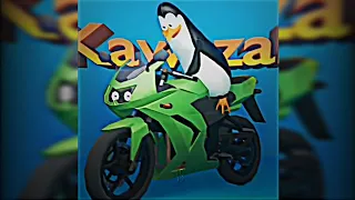 DIKA VIKA - ( Los Pingüinos me la van a mascar ) - [Tiktok Meme]