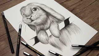 How to Draw a Rabbit Step by Step | Animals Drawing | Pencil Sketch tutorial