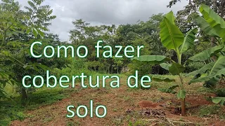 Como fazer cobertura de solo + como deixar a terra fértil.