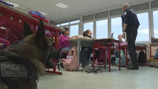 Intervention maître-chien en milieu scolaire