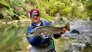 The Best Way to Start the River Season | Fly Fishing for Brown Trout | Victoria, Australia