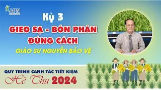 APN - GIEO SẠ VÀ BÓN PHÂN CHO LÚA HÈ THU CÙNG GS NGUYỄN BẢO VỆ - HÈ THU 2024 KỲ 3