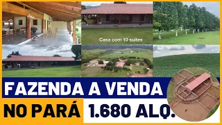 FAZENDA DE LUXO COM 10 SUÍTE - FAZENDA DE LUXO NO PARÁ - DUPLA APTIDÃO   #fazendaavendavendanopará