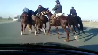 Всадники скачут по трассе Алматы-Капчагай