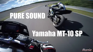 Yamaha MT-10 SP | RAW Onboard | Circuit Zandvoort