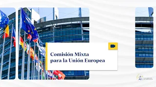 Comisión Mixta para la Unión Europea - 04/03/2024 (traducción)