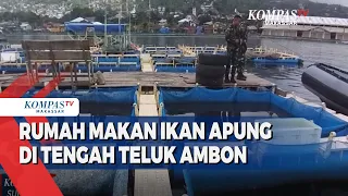 Rumah Makan Ikan Apung Di Tengah Teluk Ambon