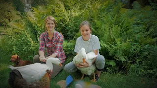 Self-sufficiency - What happened to the little bottle lamb? At Vanessa's self-catering farm