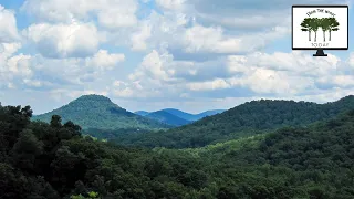 Knobs Region of Kentucky - From the Woods Today - Episode 113