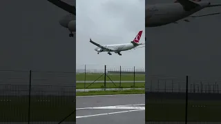 CRAZY TURKISH A330 STORM LANDING 🛩️💨 #planespotting #aviation #airport #schiphol #turkishairlines