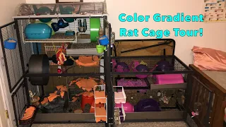 Rat Cage Tour - Color Gradient Style!