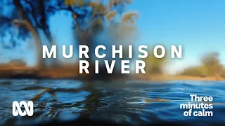 Murchison River, Western Australia | 3 Minutes of Calm | Your Mental Health | ABC Australia