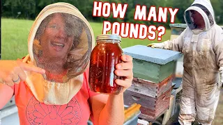 We Can't Believe Our Honey Haul!