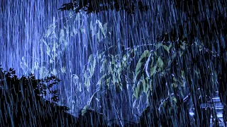 Sleep Well with the Rhythm of Sound Rain & Thunder Resounding on the Metal Roof in the Night Forest