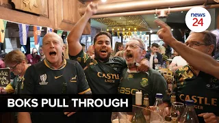 WATCH | Springbok fans celebrate after nail-biting semi final against England