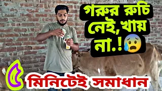 গরুর খাবার রুচি নেই, খাচ্ছে না? জেনে নিন সহজ উপায়।